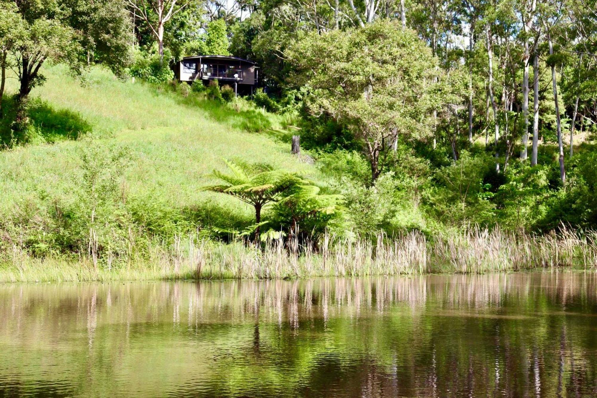 Whispering Valley Cottage Retreat Maleny Exterior foto